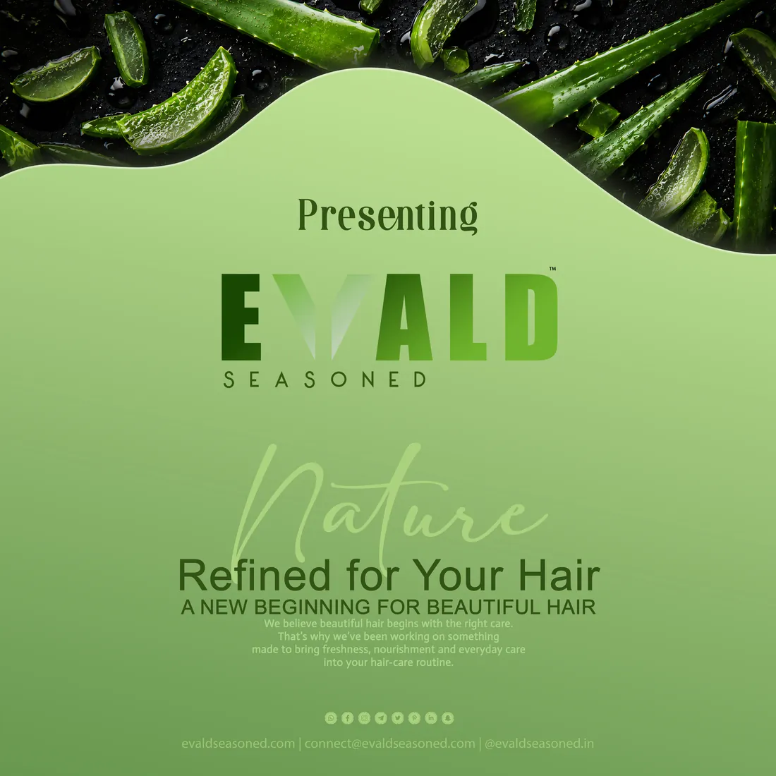 EVALD Seasoned brand poster — nature refined for your hair
