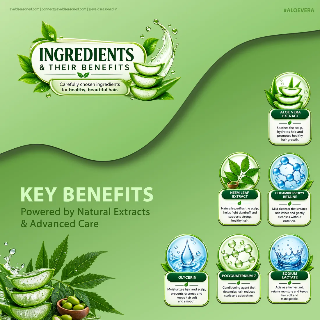 EVALD Seasoned shampoo ingredients and their benefits